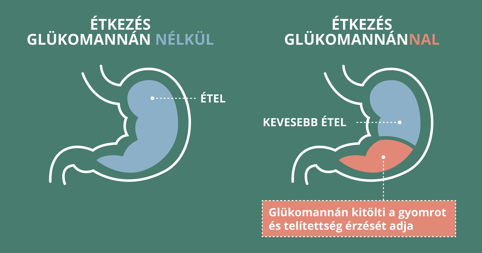 Hogyan működik?